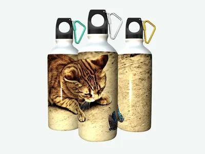 Бутылка фляга для воды \"Кот, похмелье, сепия\" 750 мл. с карабином и принтом  - купить с доставкой по выгодным ценам в интернет-магазине OZON (558590085)