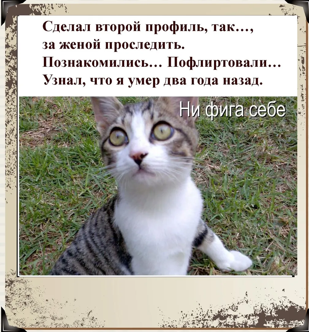 Весь интернет обсуждает несуществующий фильм про Иваныча. Кто он такой и  почему стал главным мемом лета?: Мемы: Интернет и СМИ: Lenta.ru
