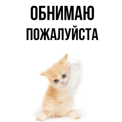 Официальный сайт Филиппа Киркорова заблокировали Вместо него выдается  ошибка с надписью «Пожалуйста, зайдите.. | ВКонтакте