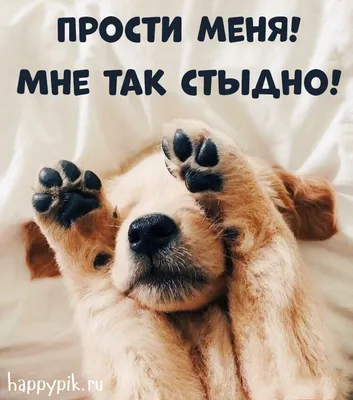 Картинки с надписью Прости - Извини меня - скачать (215 шт.)