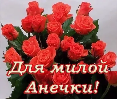 Красивые картинки С Днем Рождения Анна (180 фото) 🔥 Прикольные картинки и  юмор