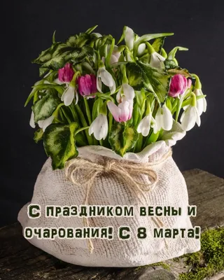 Картинки с надписью - С праздником весны и очарования! С 8 марта!.