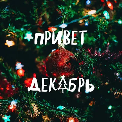 С первым днём зимы! ❄🎄 Пусть даже в холодный, зимний день на душе будет  тепло, а на лицах сияют морозные улыбки!… | Christmas bulbs, Christmas  mood, Holiday decor