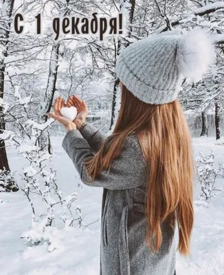Красивые картинки С первым днем зимы! (60 открыток)