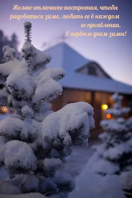 Красивые открытки \"С первым днем зимы!\" (119 шт.)