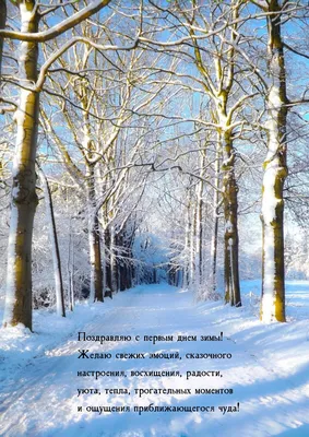 Красивые открытки \"С первым днем зимы!\" (119 шт.)