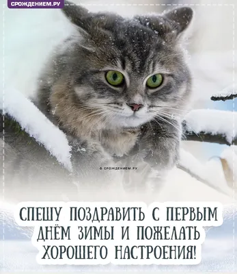 Гифка с Первым Днём Зимы, с кружкой и стихотворением • Аудио от Путина,  голосовые, музыкальные
