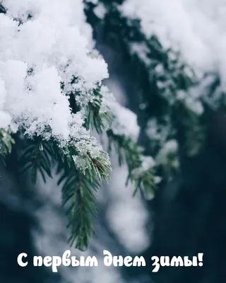 Людочка! С первым днем зимы! Гифка со снеговичком. Мигающая открытка ГИФ на  блестящем фоне.