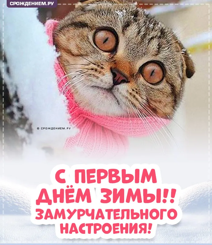 С первым днем зимы 1 декабря