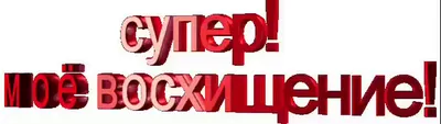 Футболка с надписью “Я УМНАЯ, потому что очень, СКРОМНАЯ, поэтому такая  КРАСИВАЯ:)” | Print.StudioSharp.ru