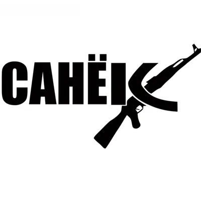 Забавные наклейки на автомобиль с надписью «Sanek Ak Sasha», 12 см * 22 см  | AliExpress