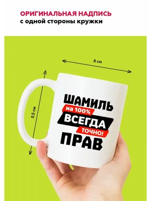 Кружка именная Шамиль Mug IrbisPrint 98682559 купить за 337 ₽ в  интернет-магазине Wildberries