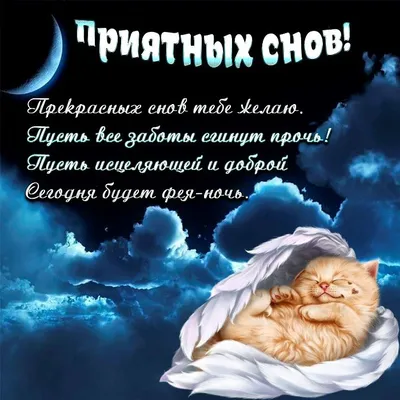 Спокойной ночи, сладких снов, котик, сердечки, пикча, мем | Мемы, Милые  сообщения, Эскизы открыток