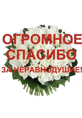 Бенто торт «Спасибо за поддержку и любовь» девушке, молодому человеку,  мужу, жене, маме, сестре, подруге, брату, отцу, Кондитерские и пекарни в  Санкт-Петербурге, купить по цене 1450 RUB, Бенто-торты в Odemi с доставкой |