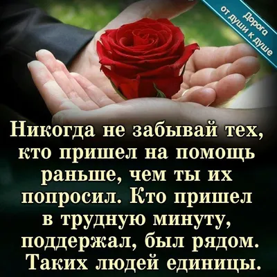 30 шт. спасибо за поддержку моей маленькой визитной карточки, спасибо,  поздравительная открытка, благодарность продавцов, Подарочная спасибо  открытка | AliExpress