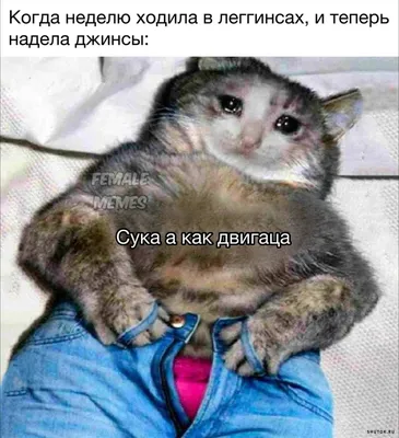 Интересно было бы : r/Pikabu