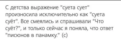 Заказать толстовку с прикольной надписью - Суета | iOK