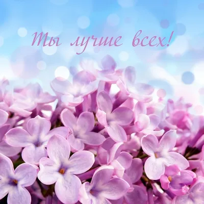 ХОРОШЕГО НАСТРОЕНИЯ! 🦋💗🍃💐🌿💗🦋 ТЫ ЛУЧШЕ ВСЕХ! | Смешной юмор,  Открытки, Детские открытки