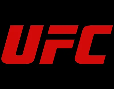 Футболка с принтом UFC (0971) (ID#1662928304), цена: 524 ₴, купить на  Prom.ua