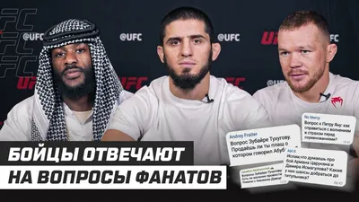 Участники UFC 280 отвечают на вопросы фанатов I Махачев, Ян, Оливейра,  Стерлинг - YouTube