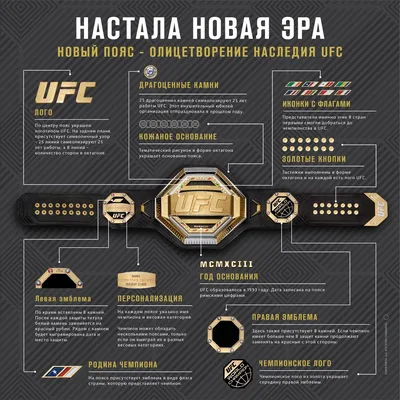 Прямая трансляция UFC 296. Где смотреть?