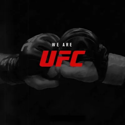 Футболка UFC, размер 50, цвет черный, Хлопок 100% - купить по выгодной цене  в интернет-магазине OZON (849458588)