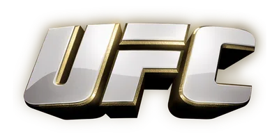 UFC belt PNG transparent image download, size: 783x770px