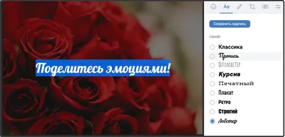 ВКонтакте» обновляет фирменный стиль: новые логотип, шрифт и дизайн сайта -  Rozetked.me