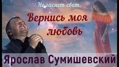 Володя,вернись. | Пикабу