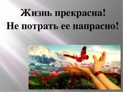Кружка То ли жизнь прекрасна, то ли я мазохист , с куклой вуду на подарок с  прикольной надписью картинкой 330 мл , КР168234 | AliExpress