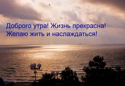 100 необычных цитат про жизнь в картинках – Блог Canva