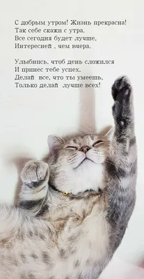 Жизнь прекрасна, 2011 — смотреть фильм онлайн в хорошем качестве на русском  — Кинопоиск