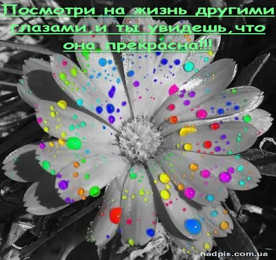 Открытки с пожеланиями для друзей | Открытки, поздравления и рецепты | Дзен