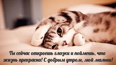 Что нужно понять о жизни каждому? - Очень красиво описала Диана Мартос в  своей книге | Мудрость жизни | Дзен