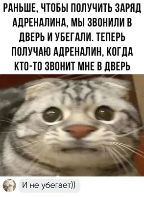 Футболка цветы с надписью жизнь прекрасна IVUSHKAprint 167740608 купить за  1 422 ₽ в интернет-магазине Wildberries