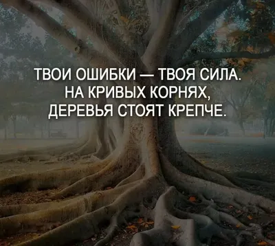 Открытки красивые жизненные со смыслом с надписями про жизнь (80 фото) »  Красивые картинки и открытки с поздравлениями, пожеланиями и статусами -  Lubok.club