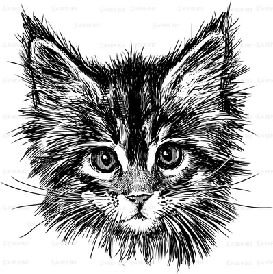Нарисованные глаза кошки - 70 фото