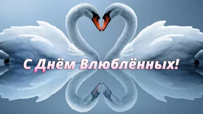открытки с днем влюбленных