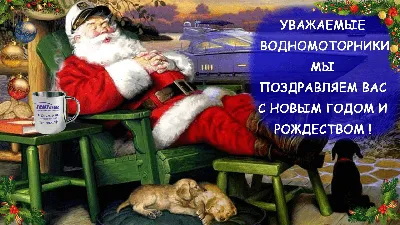 С наступающим Новым 2023 годом и Рождеством! | Koppod'Oro - питомник  доберманов г.Новосибирск