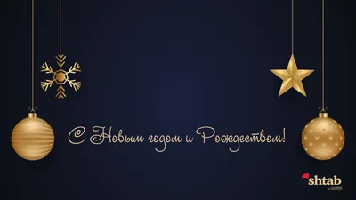 Ректор Александр Гуляков поздравляет с наступающим Новым годом и Рождеством!  — Пензенский государственный университет