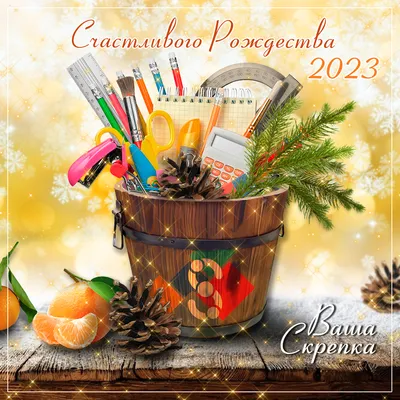С Новым 2022 годом и наступающим Рождеством Христовым! | Автономная  некоммерческая организация «Славься Отечество»