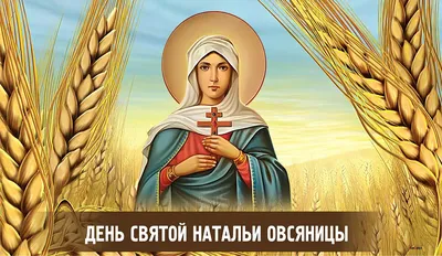 Краснокутских учеников, педагогов и родителей поздравляют С Днем Знаний |  01.09.2023 | Красный Кут - БезФормата