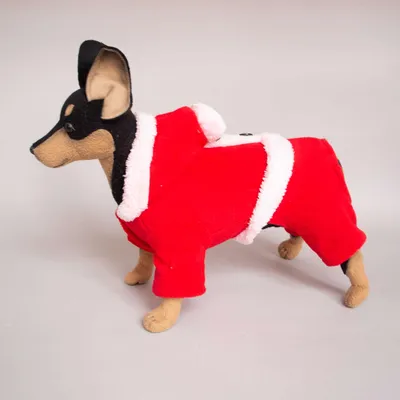 Красивая собака на фоне новогодней ё…» — создано в Шедевруме