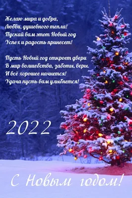 С Новым 2022 годом! » 24Warez.ru - Эксклюзивные НОВИНКИ и РЕЛИЗЫ