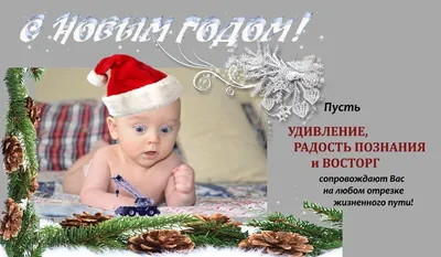 Новогодние загадки для детей – 20 загадок с ответами