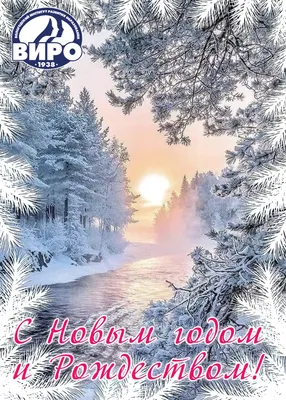 Праздничные поздравления: с Новым Годом и Рождеством от «Морозпродукт»