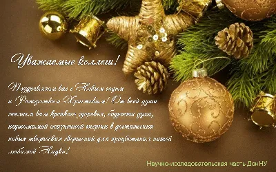 Поздравление председателя Госкомрегистра Инны Смаль с Новым годом и  Рождеством Христовым! - Лента новостей Крыма