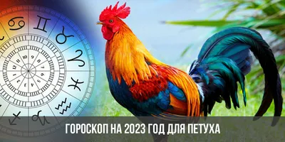 ГОД ПЕТУХА УЖ НА ПОРОГЕ!. Обсуждение на LiveInternet - Российский Сервис  Онлайн-Дневников