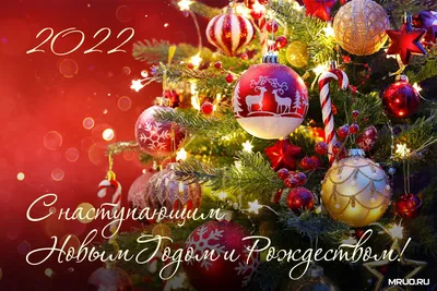 С Новым годом и Рождеством! | ПБК ЦСКА