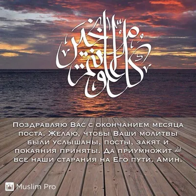 Всё о Рамадане (Статьи. Фото. Видео. Открытки) | islam.ru